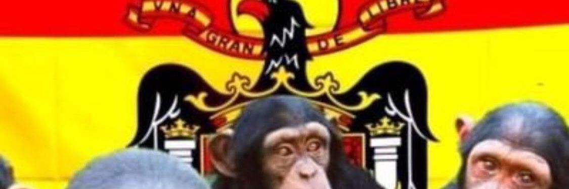 putaespanya banner