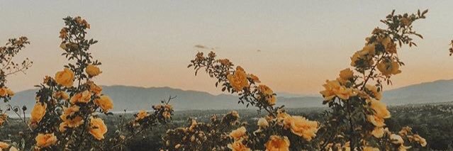 Chesswee15's profile banner image