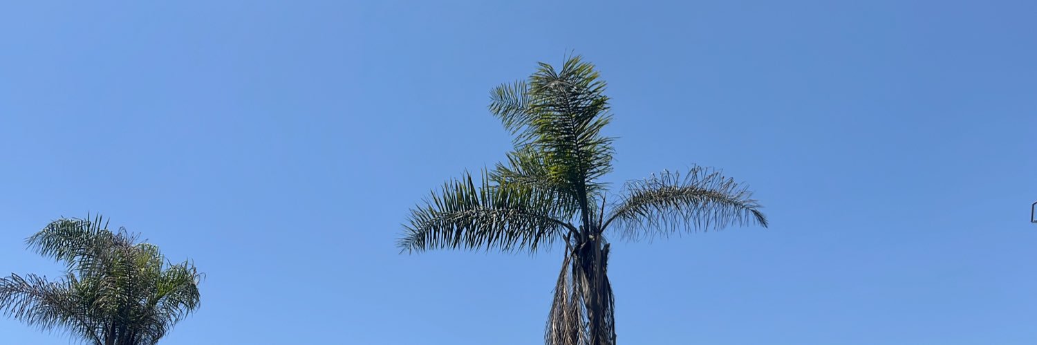 🚫 #FujimoriNuncaMás banner