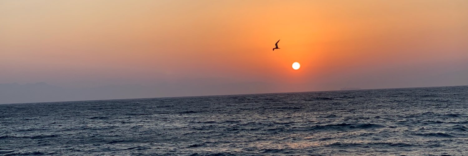 MostafaHamoda's profile banner image