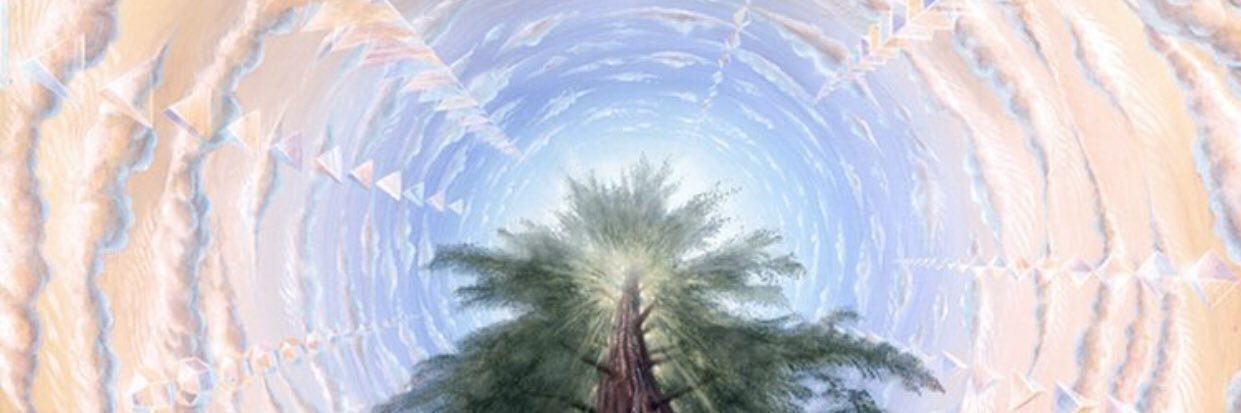 estrawberriie's profile banner image