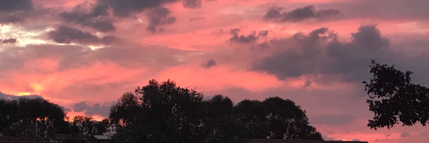 shereev11's profile banner image