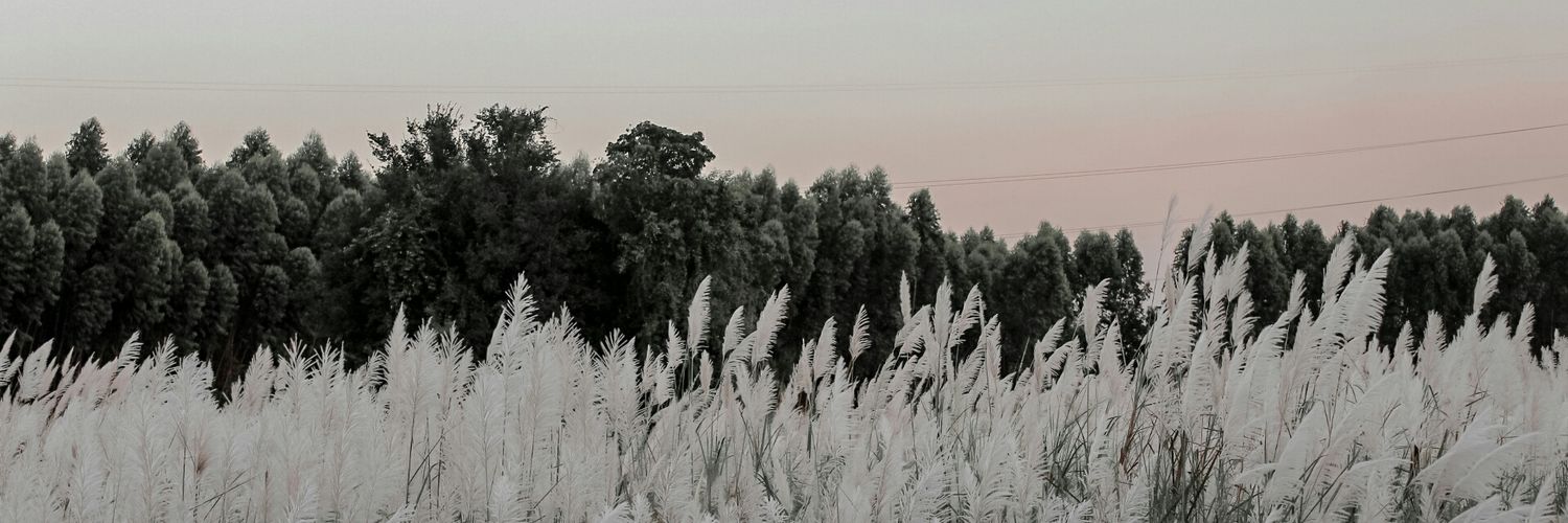 KarnnRp's profile banner image