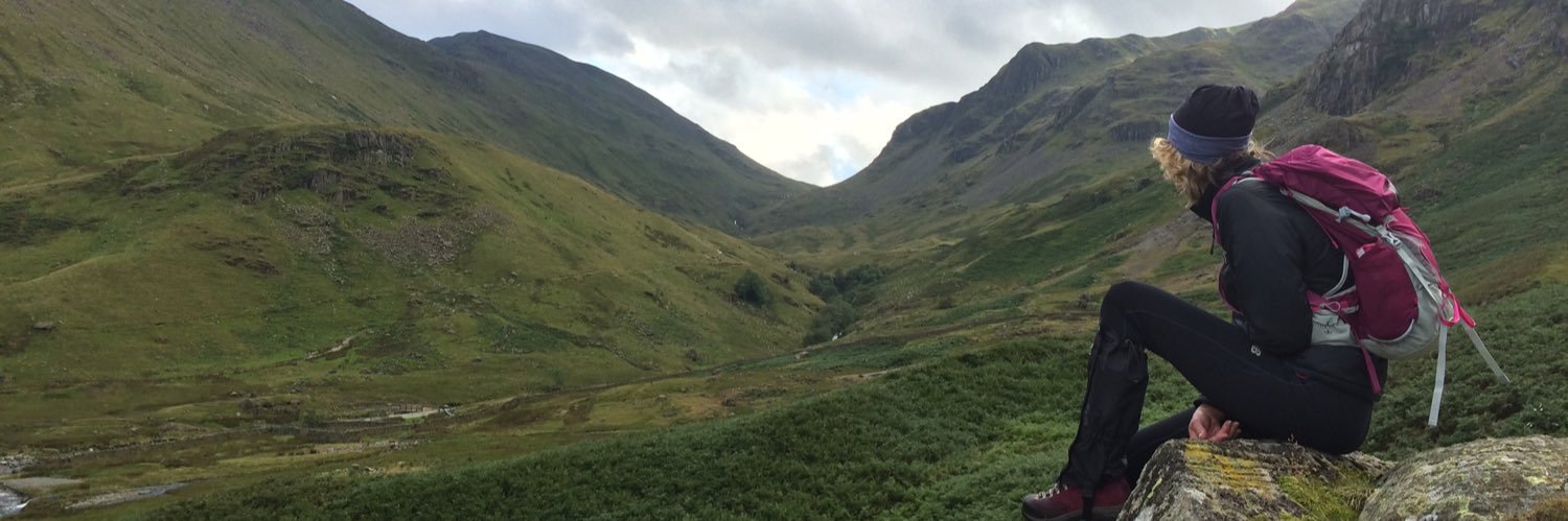 Kersti Mitchell banner