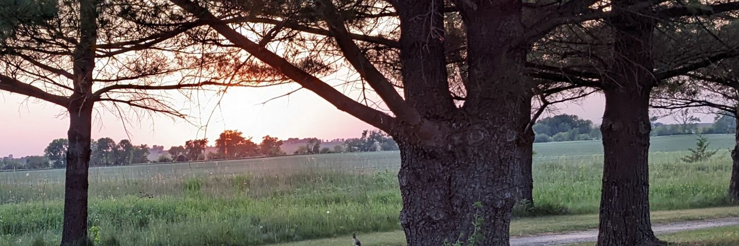 MikeRuiz21's profile banner image