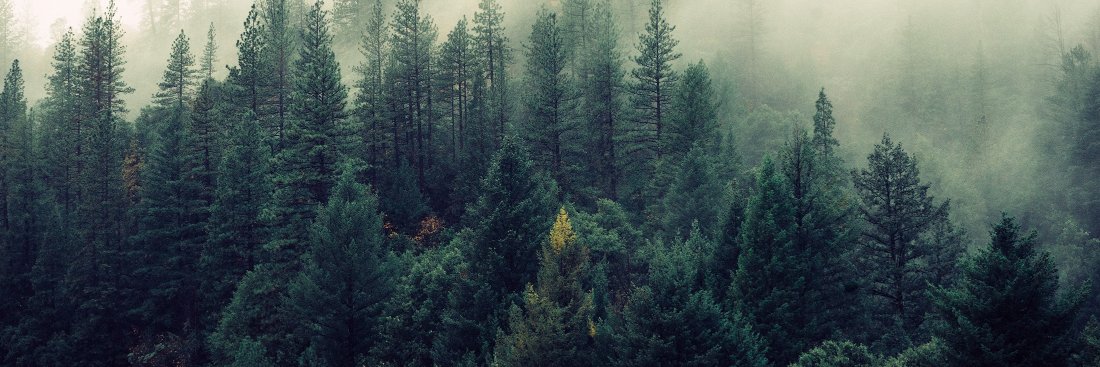 sustainablevdp's profile banner image