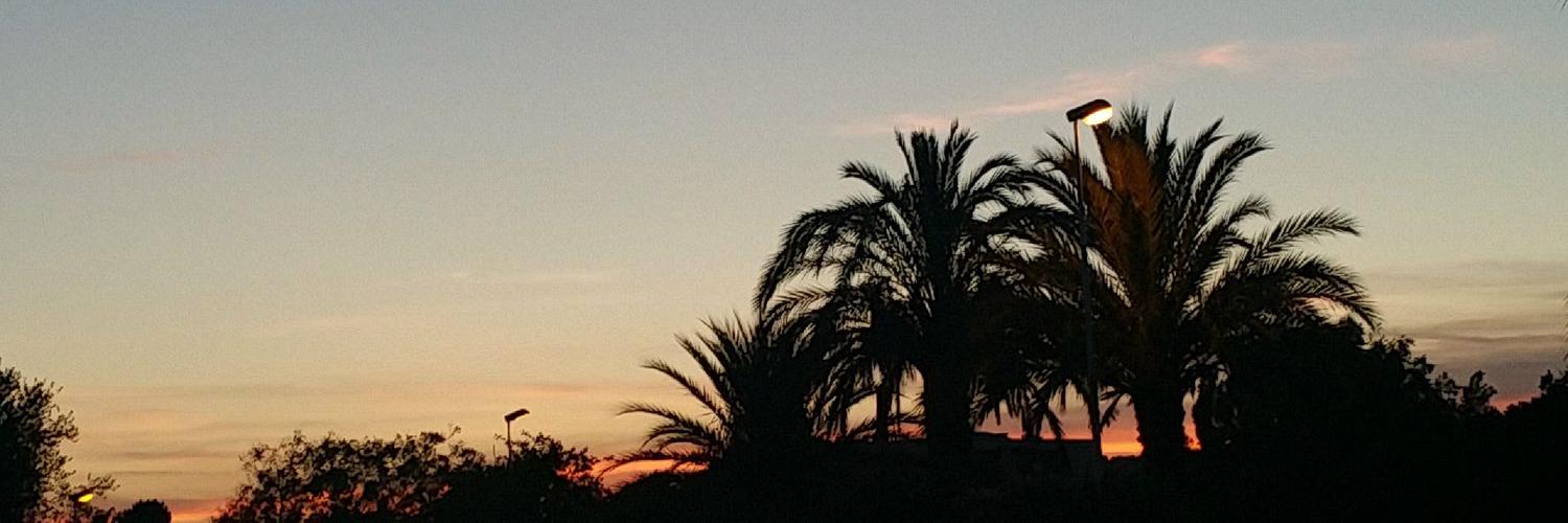 AlexisVrnt's profile banner image