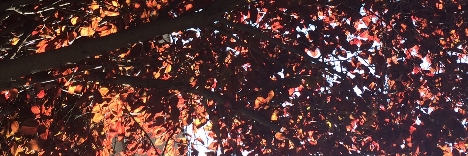 callen90's profile banner image