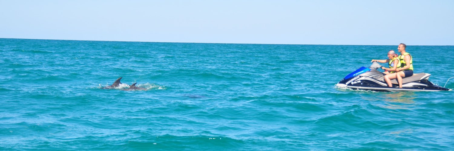 Alexis_Durieu's profile banner image