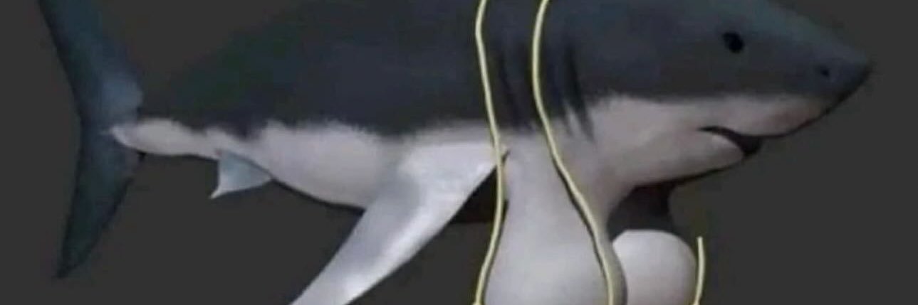 Drica Dee 🥰 banner
