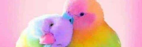 dopeskindudu's profile banner image