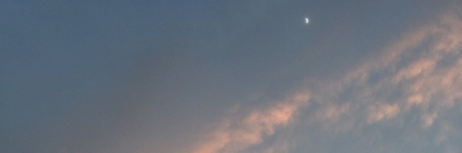 rainacejas's profile banner image