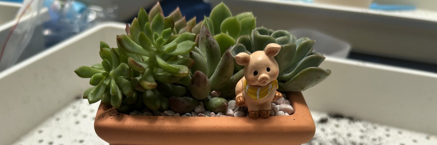 guava8018's profile banner image