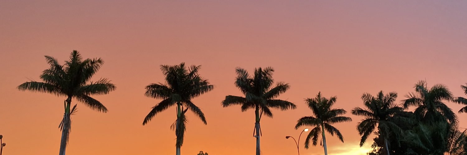 alineeofranco's profile banner image