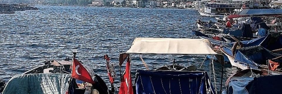 cinooo35's profile banner image