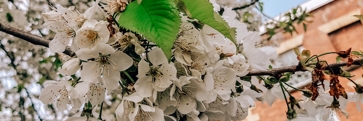 childishdoll's profile banner image