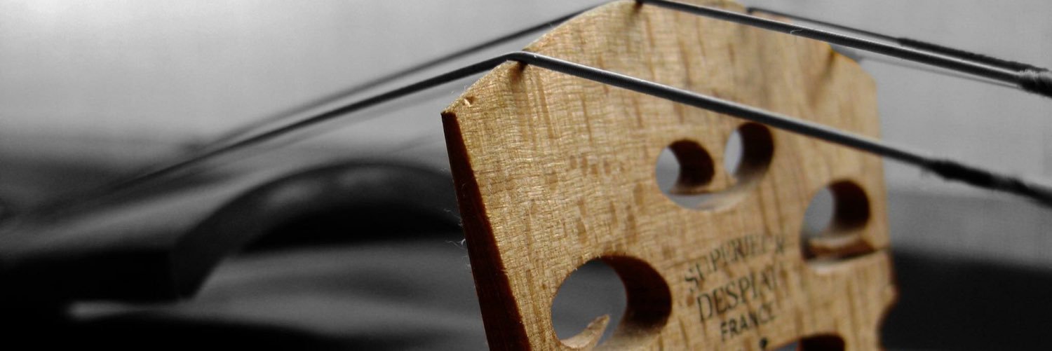 ViolinSlayer's profile banner image