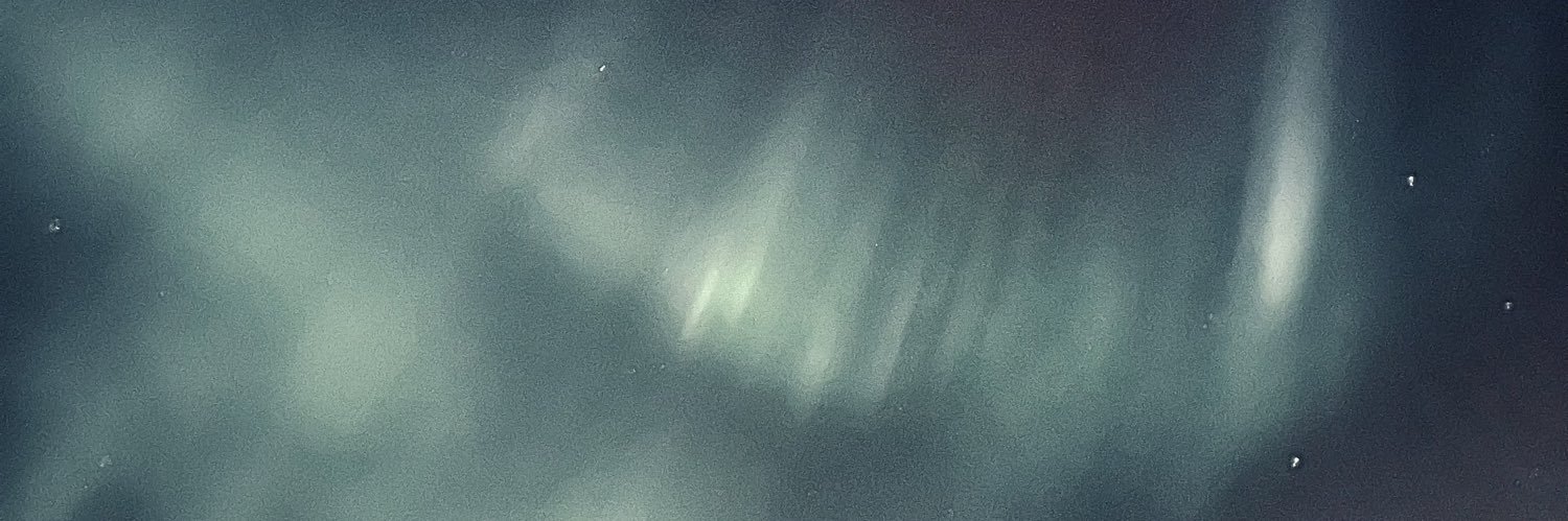 scatterbraaaain's profile banner image
