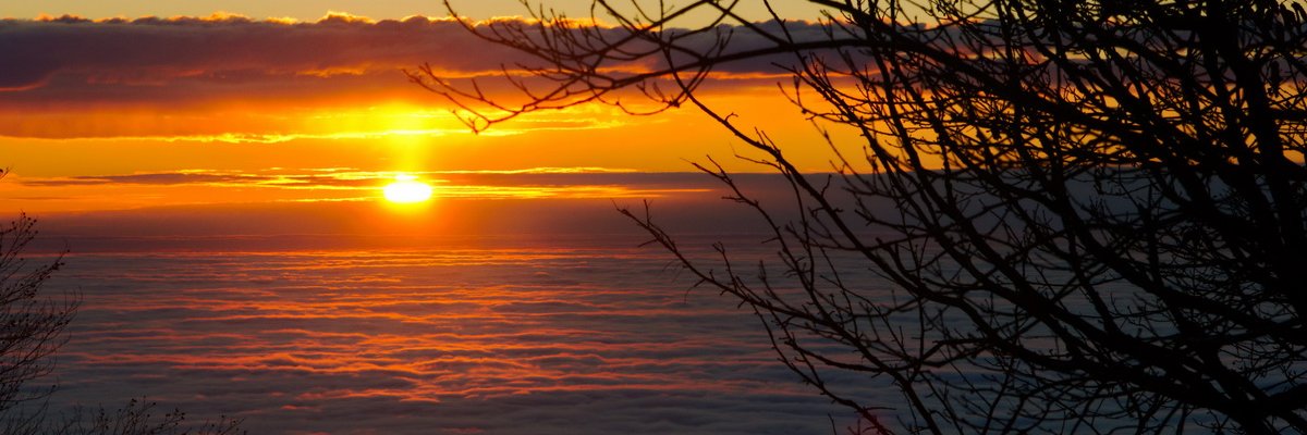 UPRIGelender's profile banner image