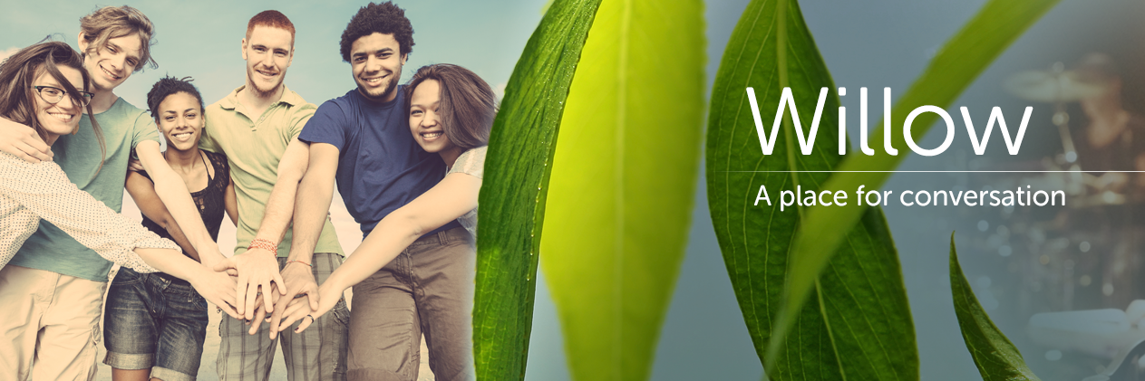 thewillowapp's profile banner image