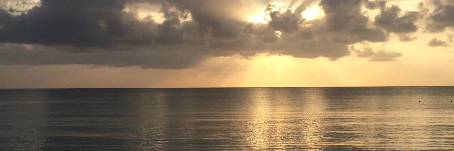pomoore518's profile banner image