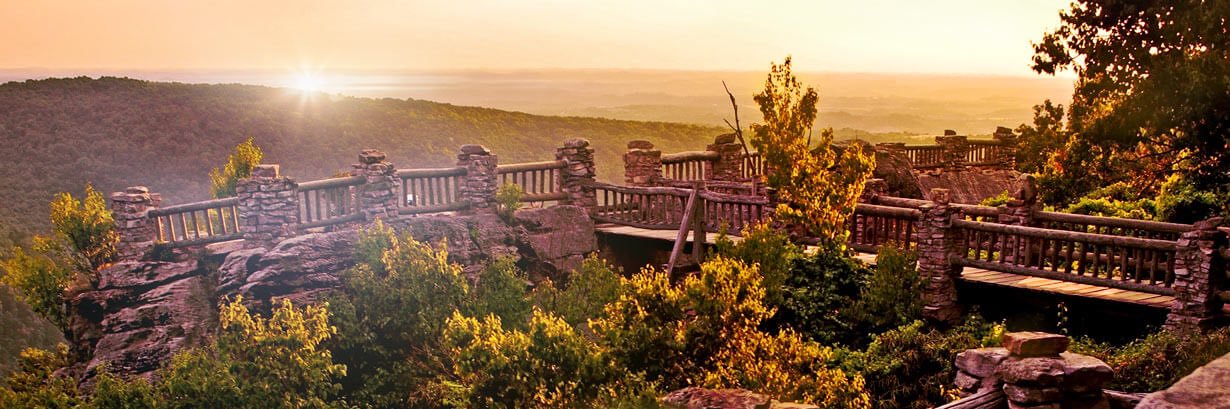 Robyn Temple-Smolkin banner