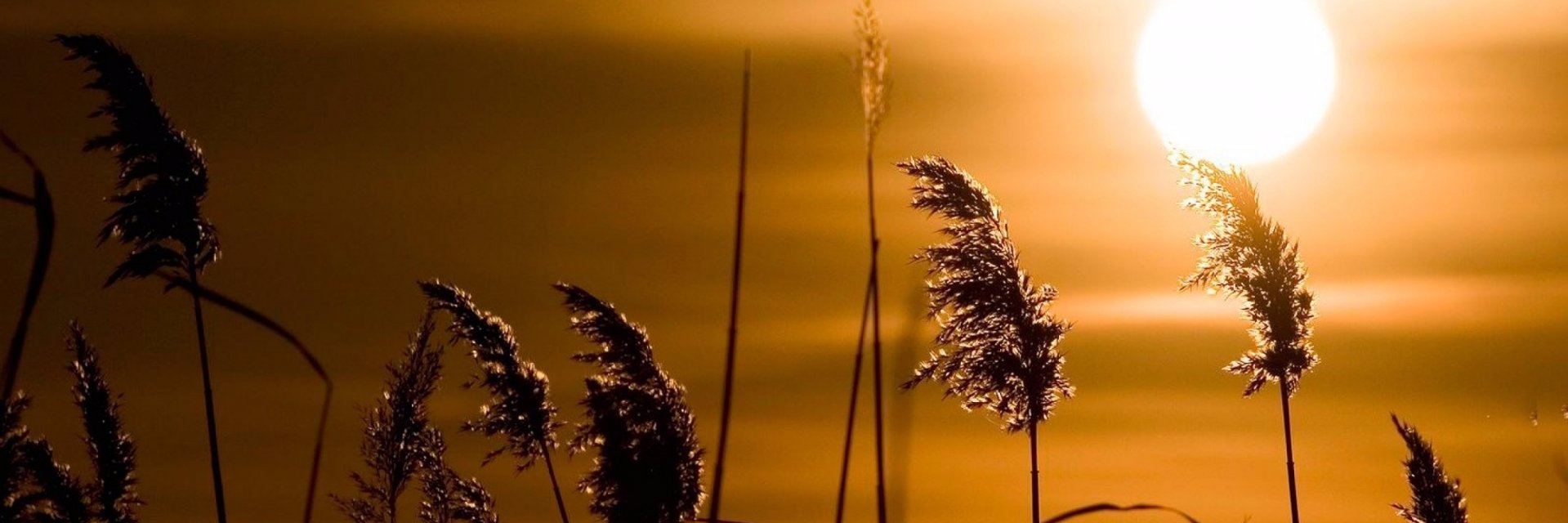 methmaps's profile banner image
