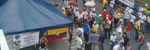 Sintraemsdes Cali banner