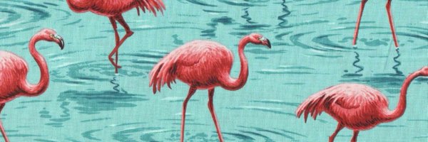 MiGatoSeneca Profile Banner