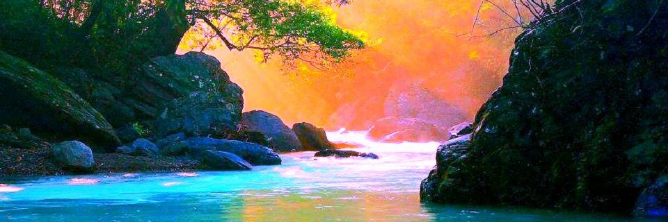 pomtham2498's profile banner image