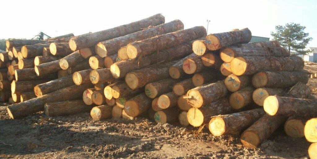 Sodertimber's profile banner image