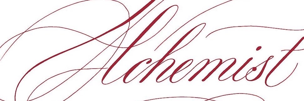 thebraandi's profile banner image