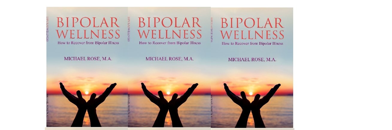 bipolarwellness's profile banner image