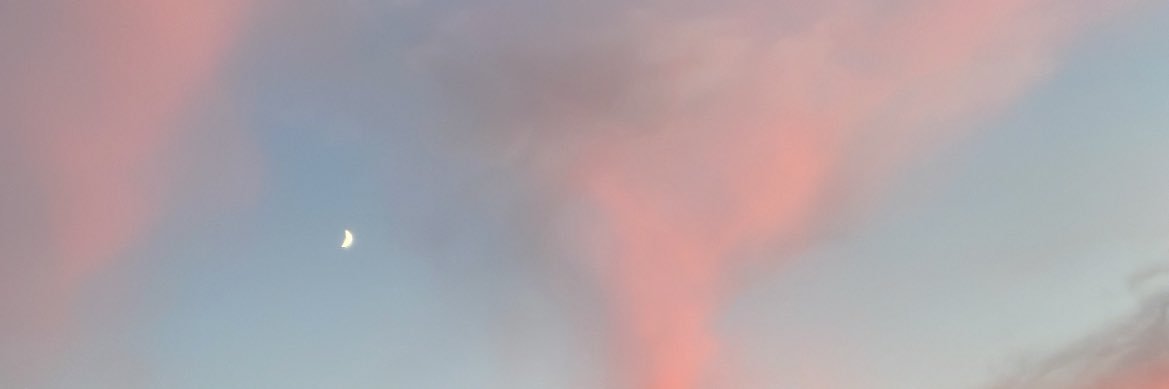 sofiaarlopez's profile banner image