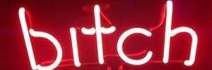 bitch cнule♡ banner