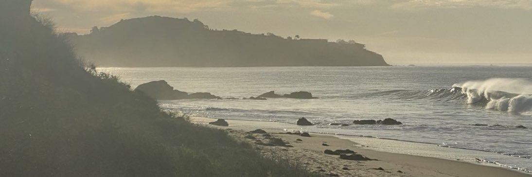 maldofino's profile banner image