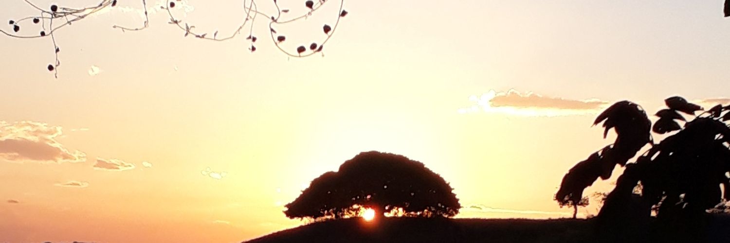 lylyaramar's profile banner image