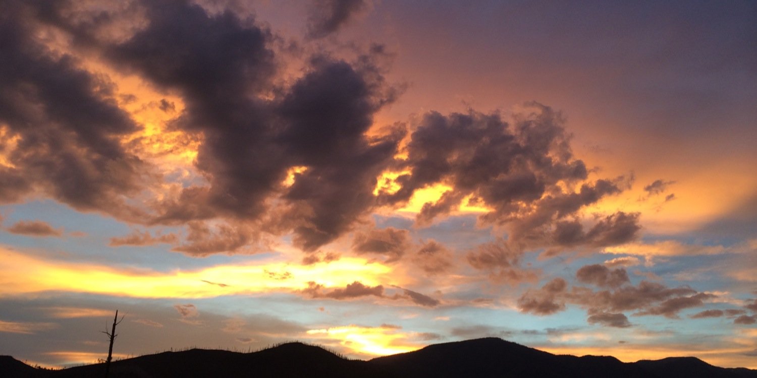 Jackie Wortman banner