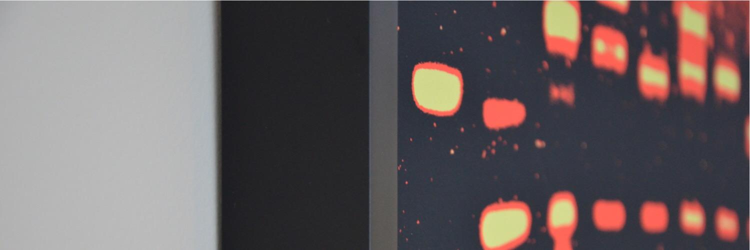 DashMasland's profile banner image