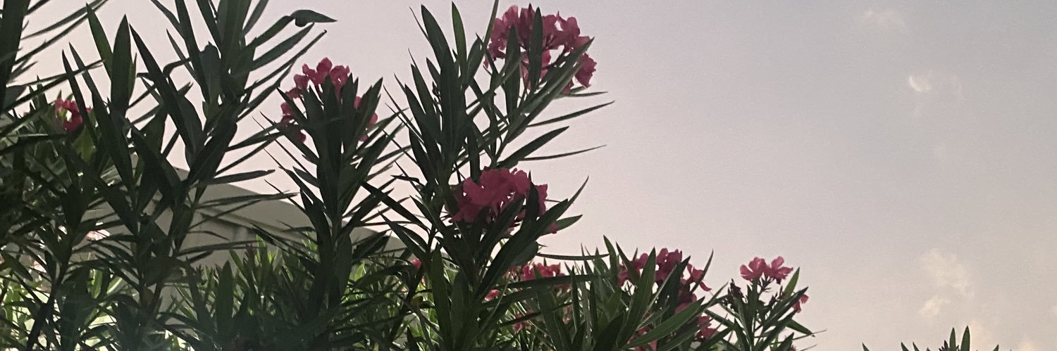 ishoko1v's profile banner image