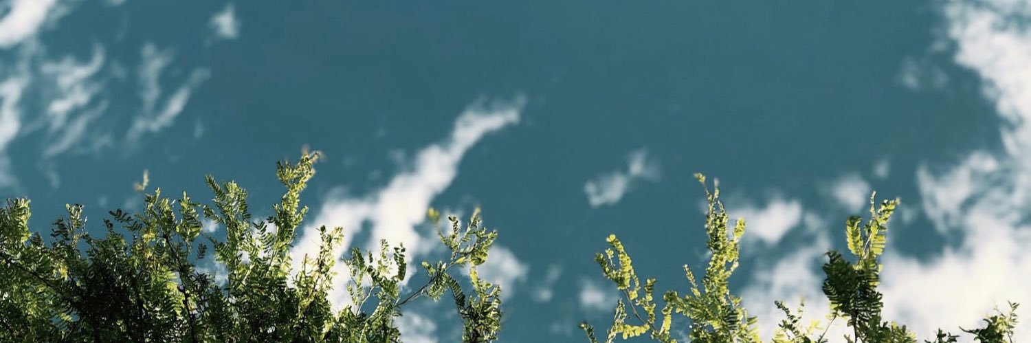 aledebrot's profile banner image