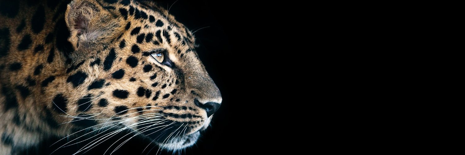msgrecruiter's profile banner image