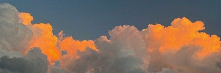 Araceli80977416's profile banner image