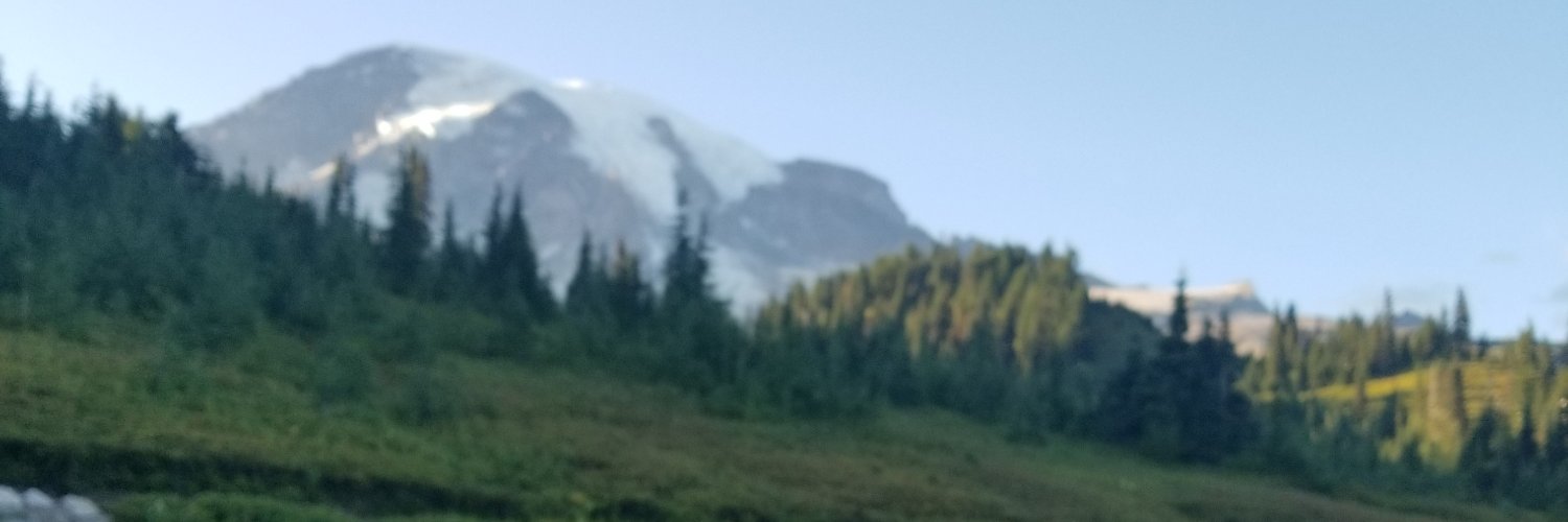 caitlinkerns's profile banner image
