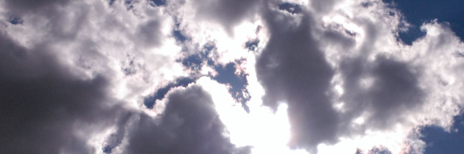 clemente_jesus_'s profile banner image