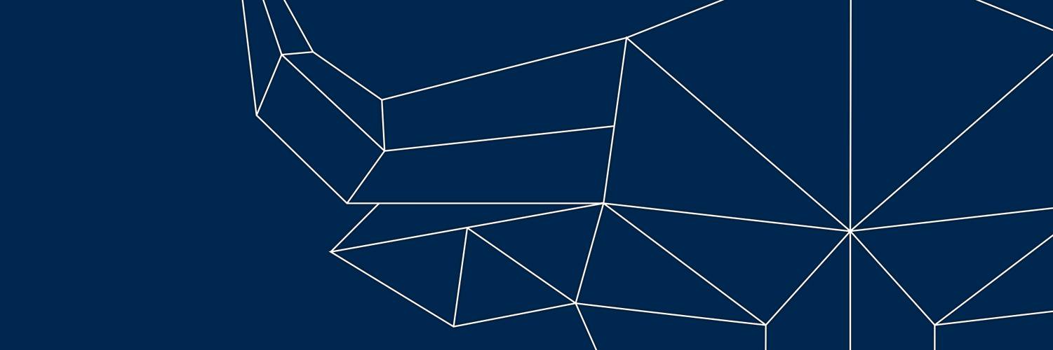 NewFruitBull's profile banner image