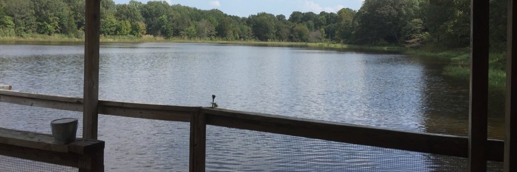 LouiseDavisGolf's profile banner image