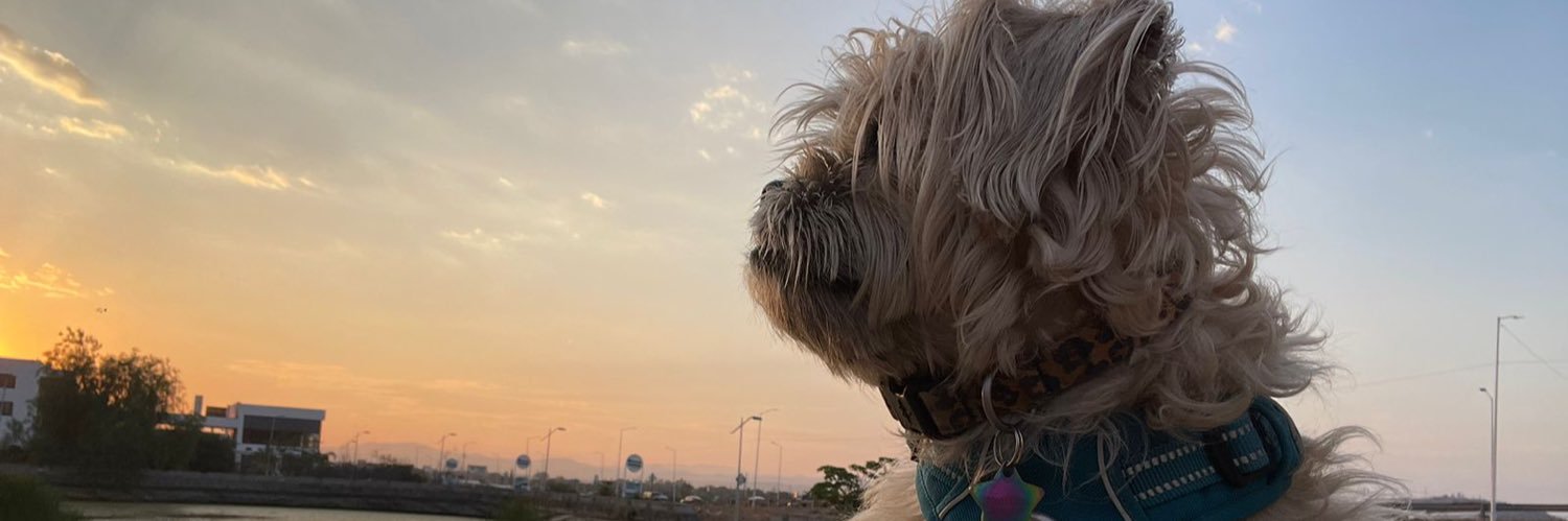 lfreddavila's profile banner image