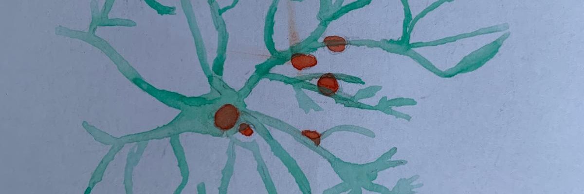 malonsga's profile banner image