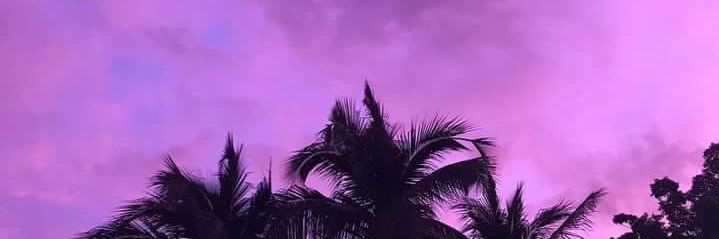 tnpmnt's profile banner image